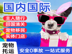 珠海航空运输国际宠物托运 【国